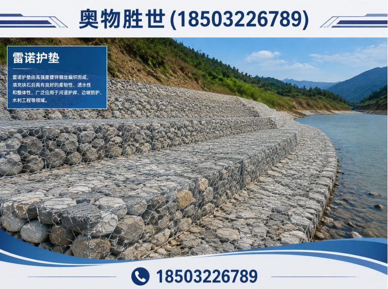 常德雷诺护垫展示图